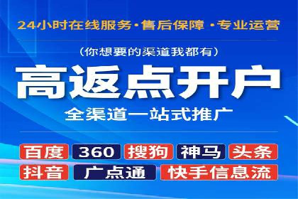 SEM专员实战案例解析